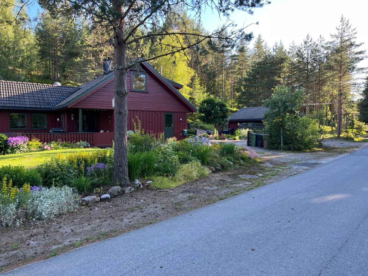 Apartmán Oggevatn Birkenes Exteriér fotografie