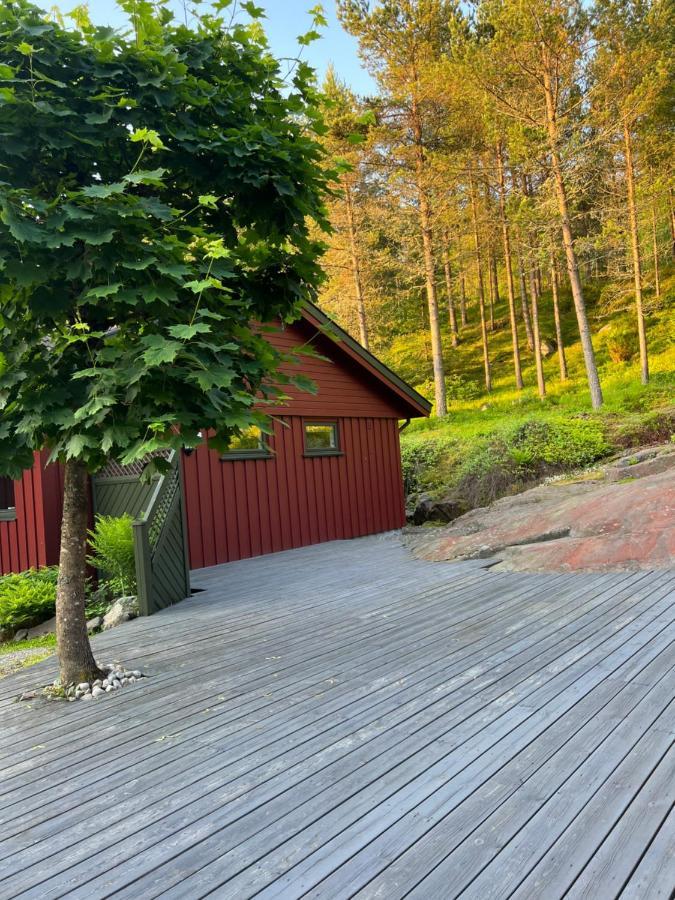 Apartmán Oggevatn Birkenes Exteriér fotografie