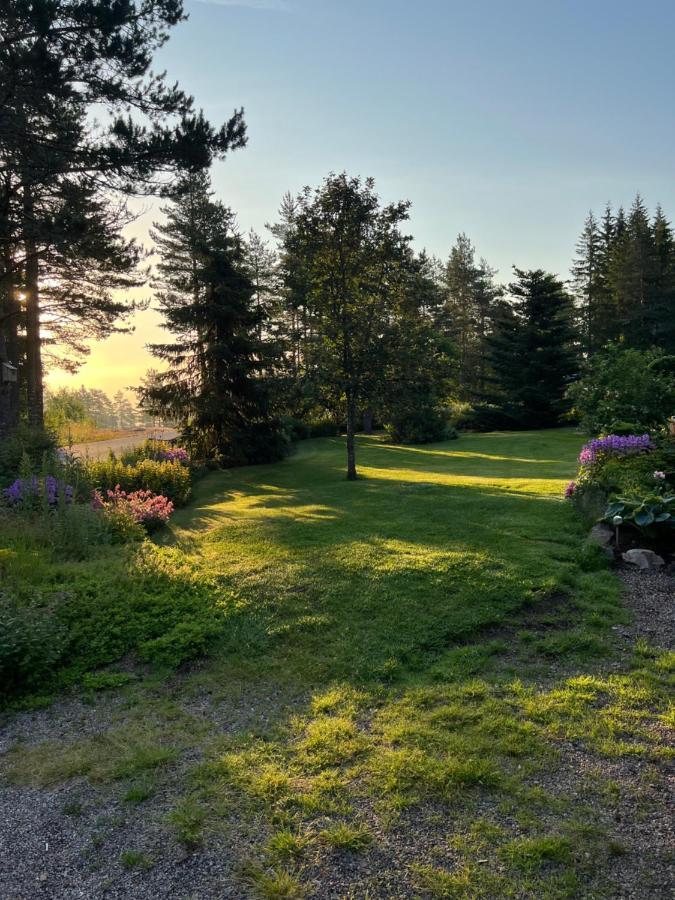Apartmán Oggevatn Birkenes Exteriér fotografie