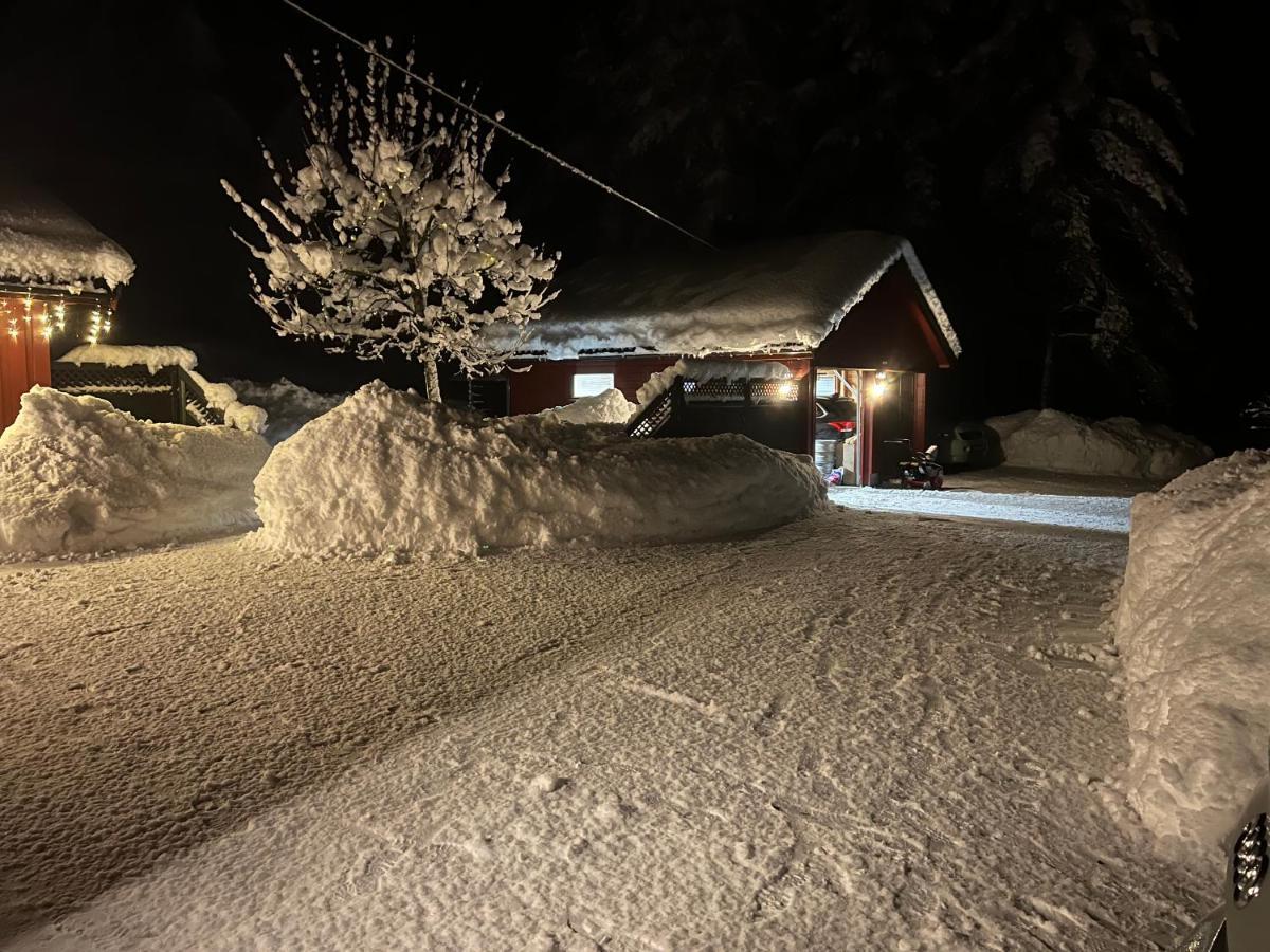 Apartmán Oggevatn Birkenes Exteriér fotografie