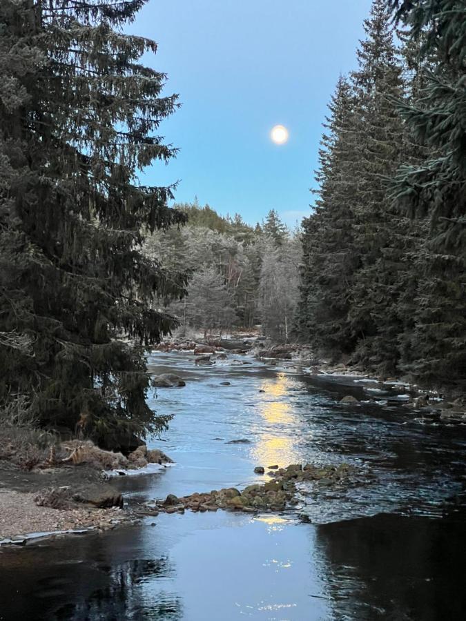 Apartmán Oggevatn Birkenes Exteriér fotografie